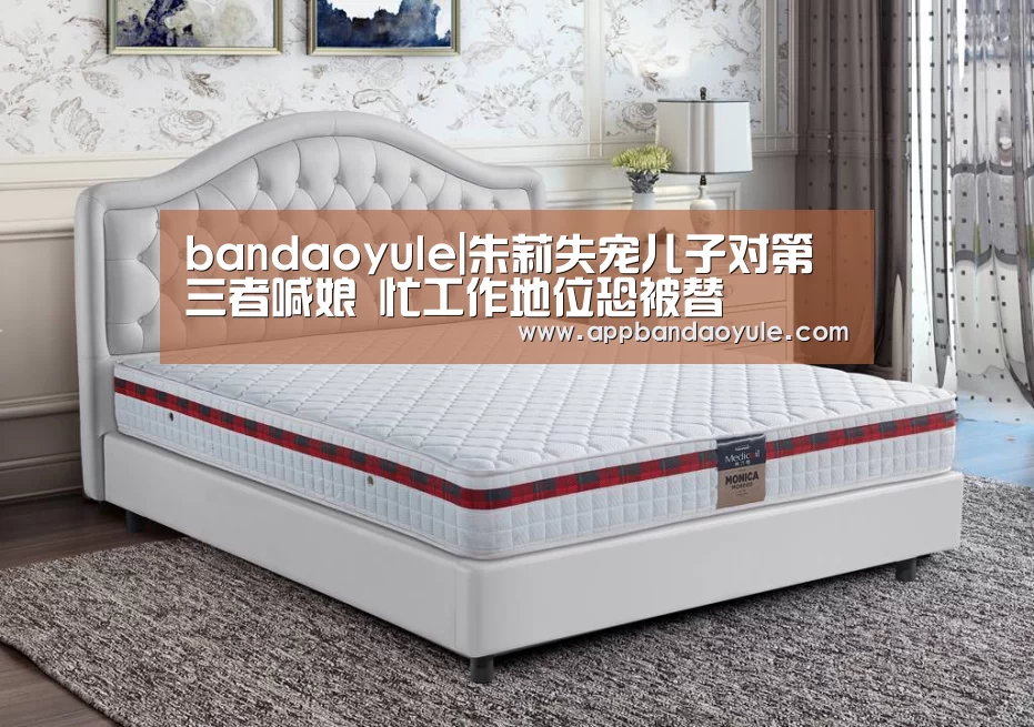 bandaoyule|朱莉失宠儿子对第三者喊娘 忙工作地位恐被替(图2) bandaoyule|朱莉失宠儿子对第三者喊娘 忙工作地位恐被替(图2)