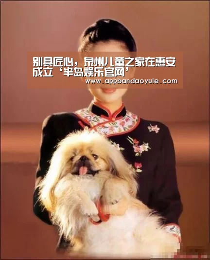 别具匠心，泉州儿童之家在惠安成立‘半岛娱乐官网’